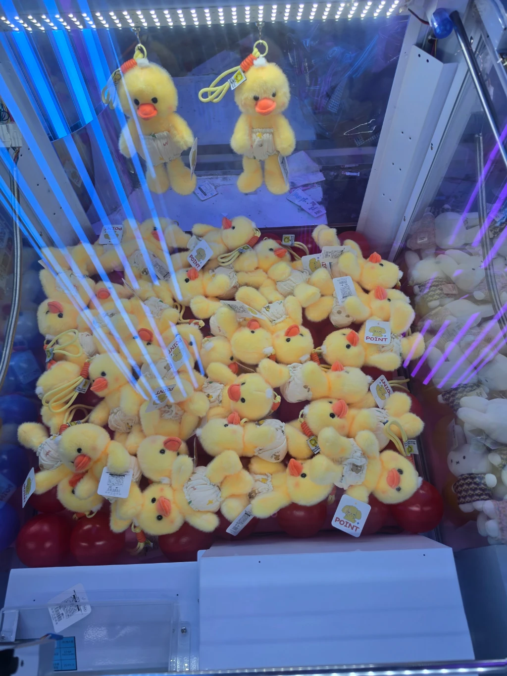 원더랜드 둔산점 사용자 등록 사진