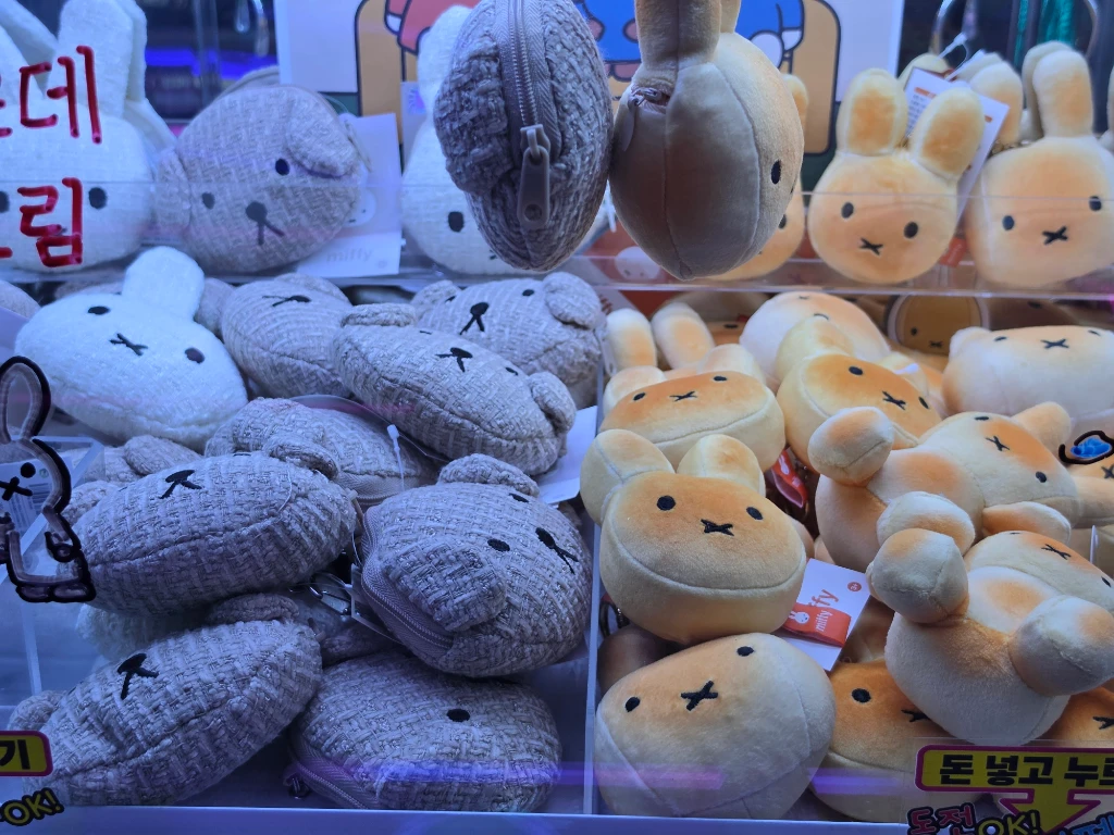 원더랜드 둔산점 사용자 등록 사진