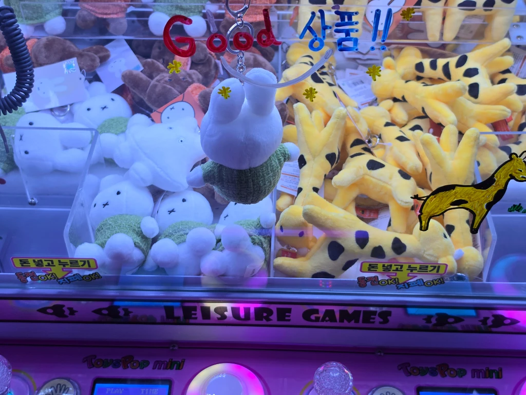 원더랜드 둔산점 사용자 등록 사진