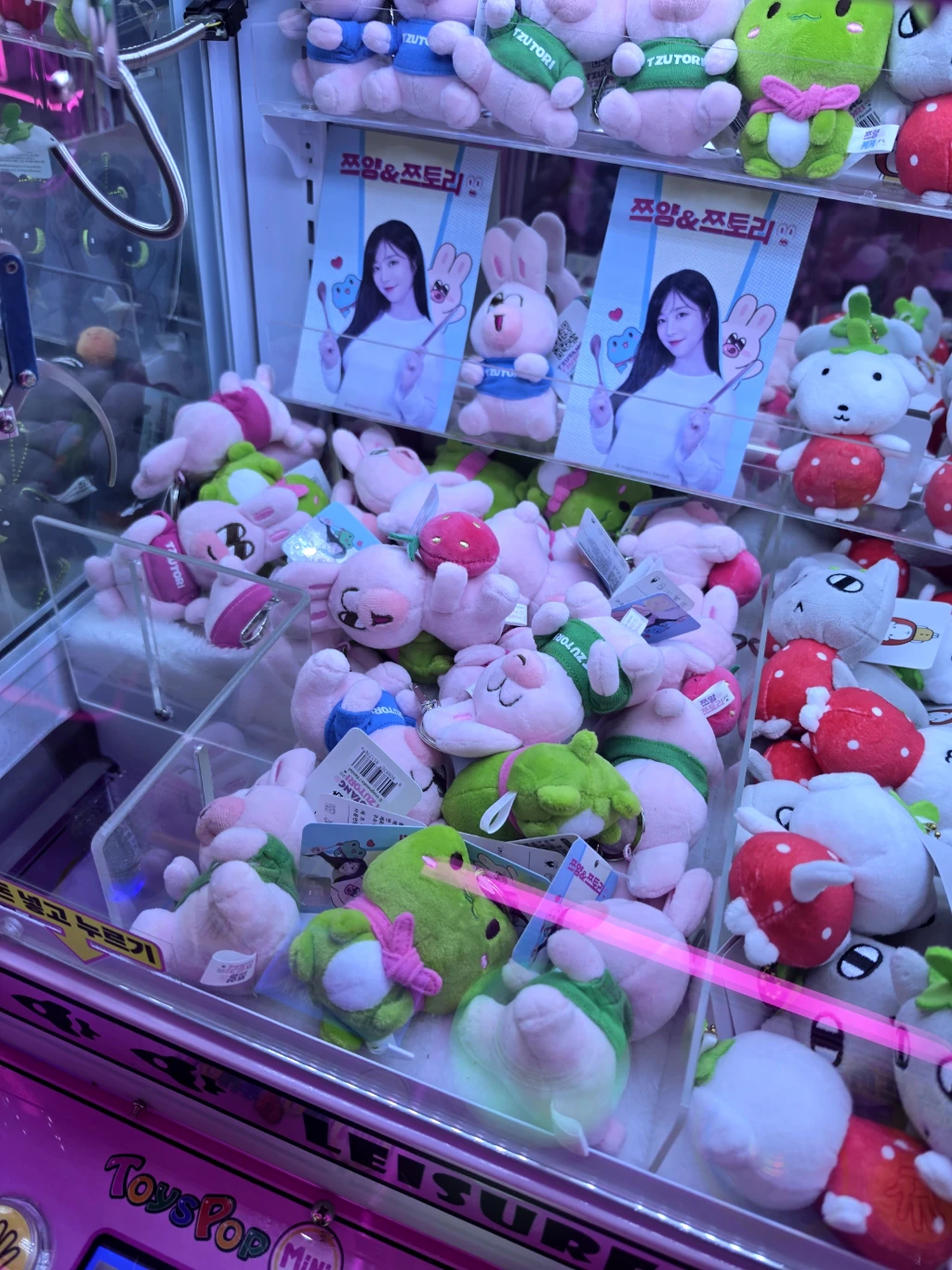 원더랜드 사용자 등록 사진