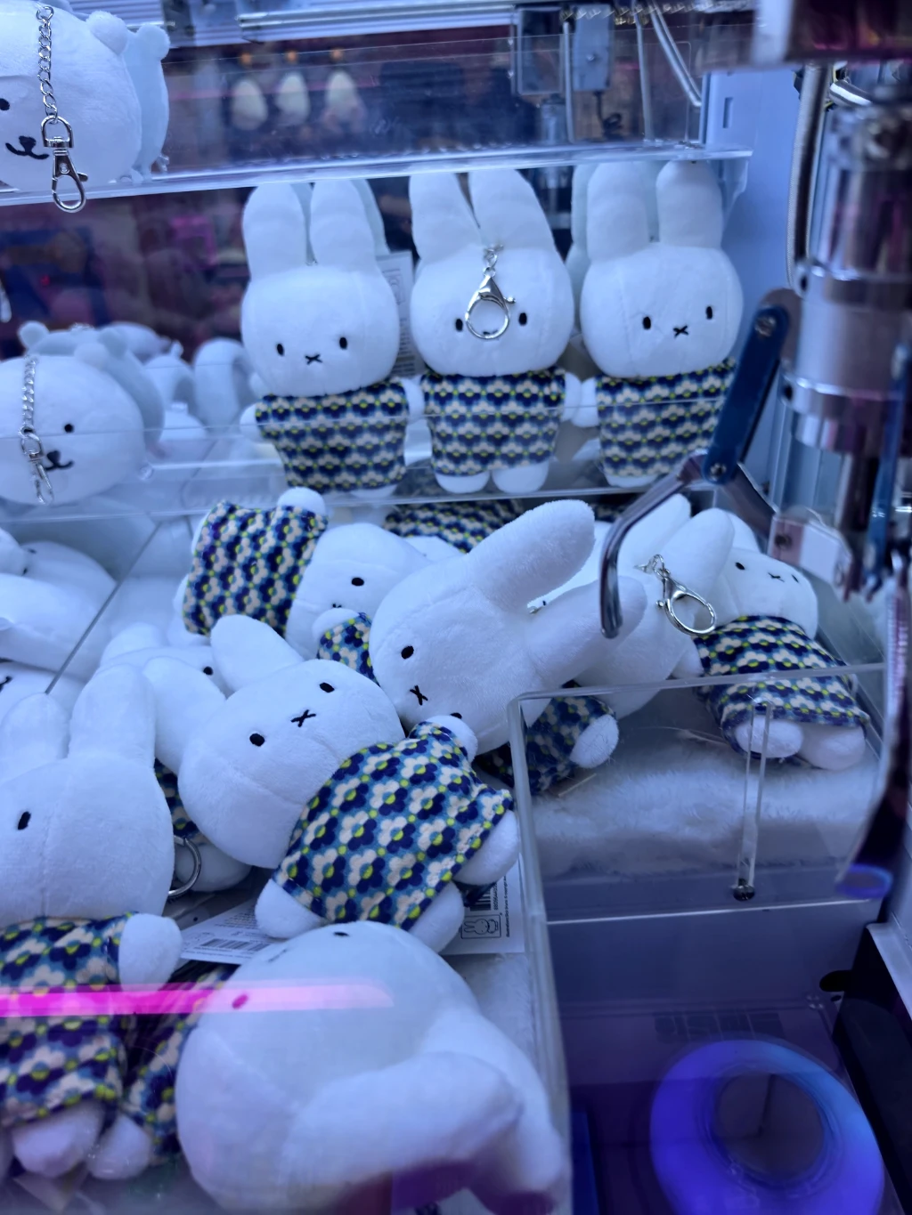 원더랜드 사용자 등록 사진