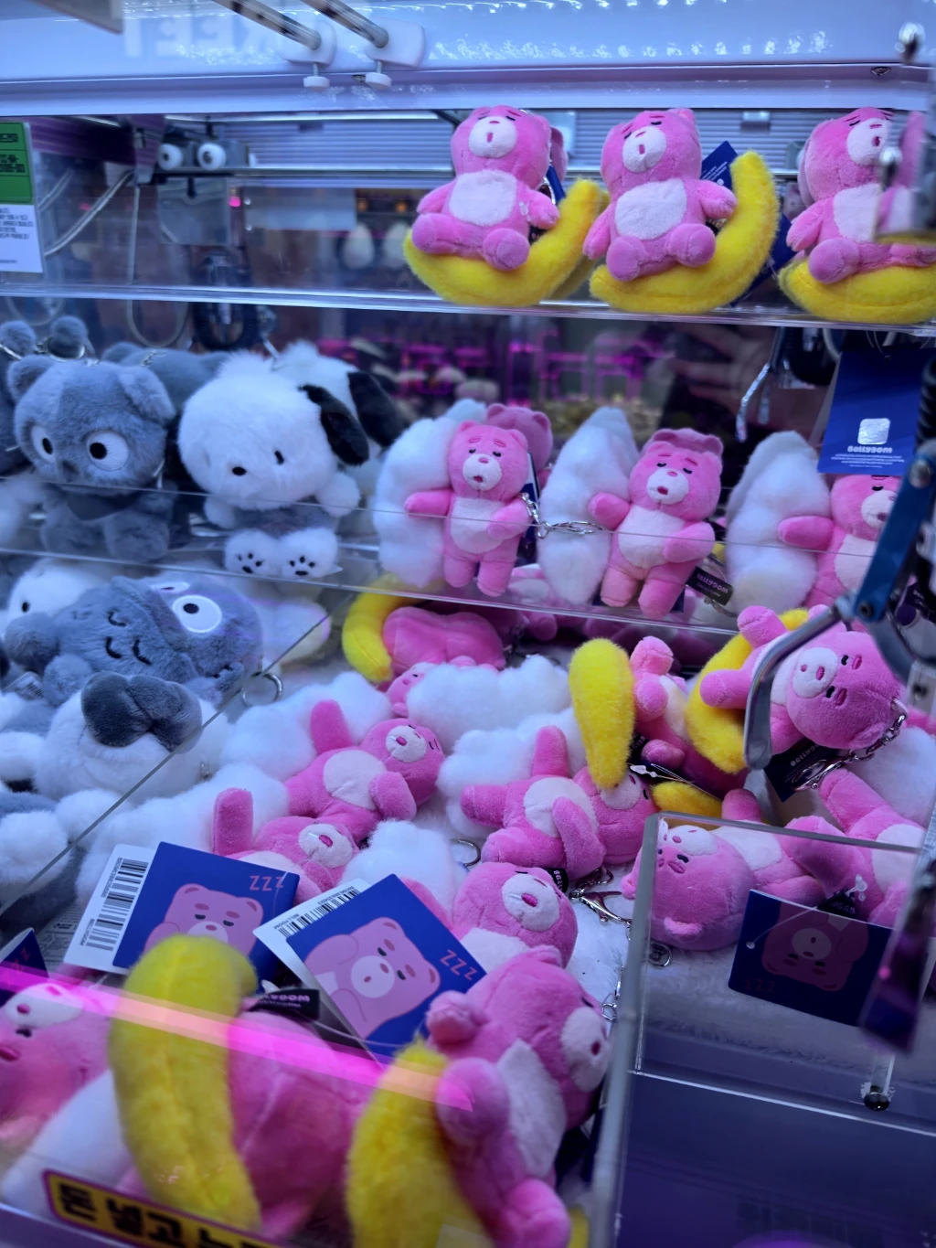 원더랜드 사용자 등록 사진