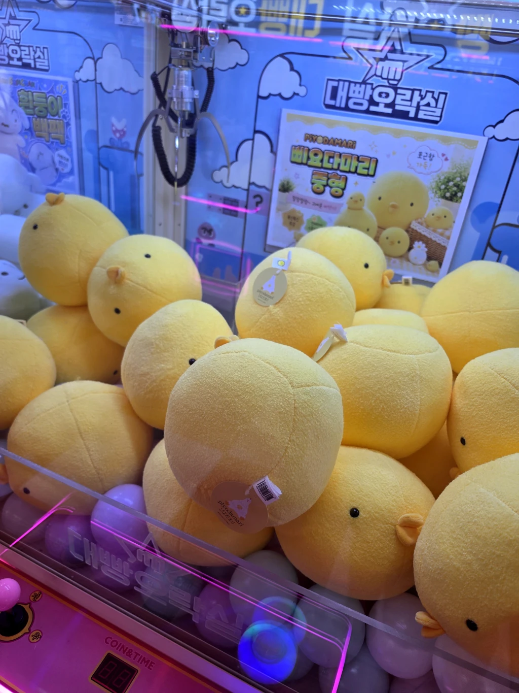 대빵오락실 사용자 등록 사진