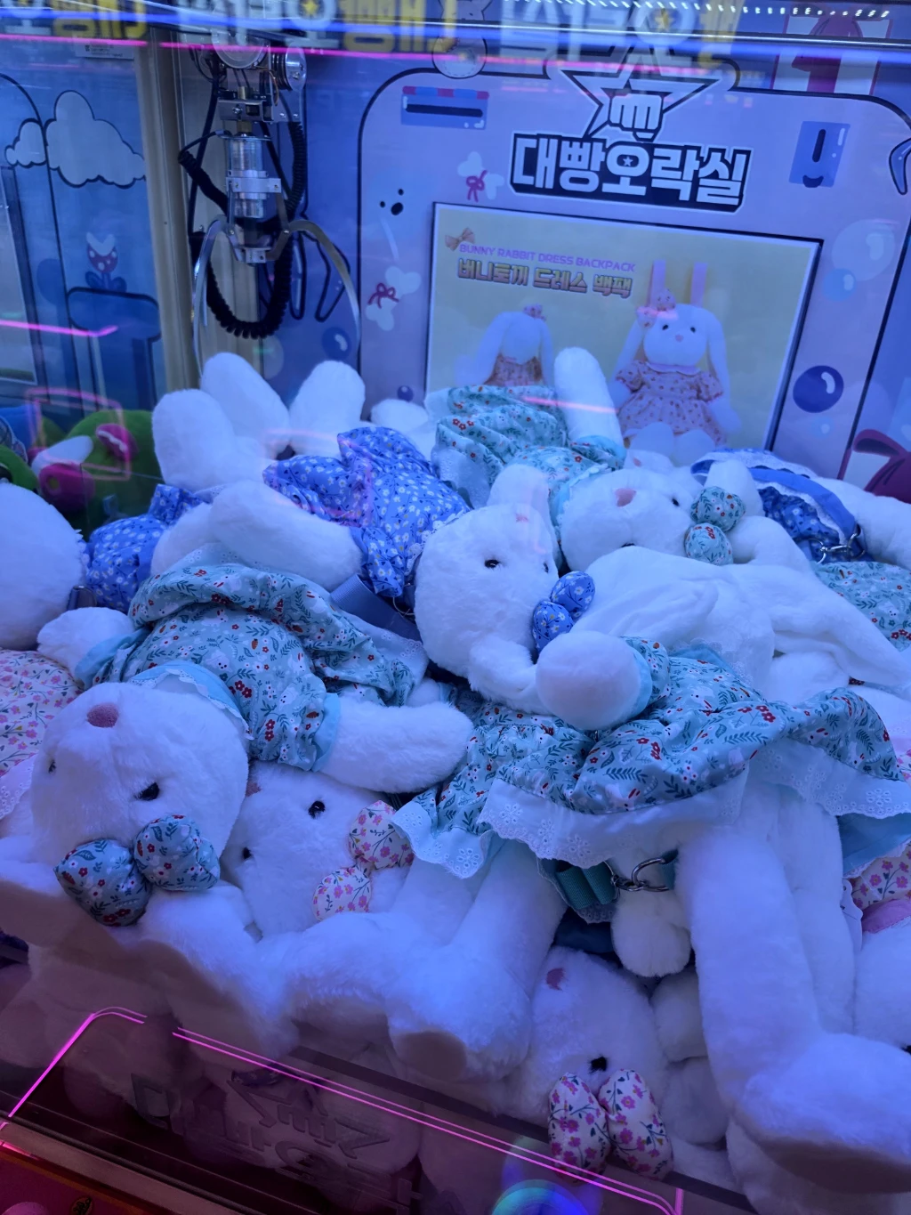 대빵오락실 사용자 등록 사진