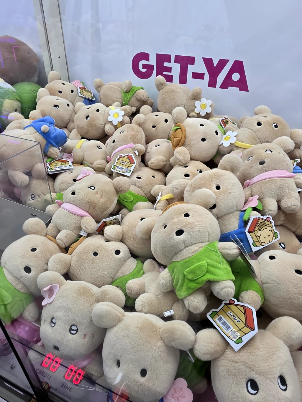 GET-YA 매장 사진