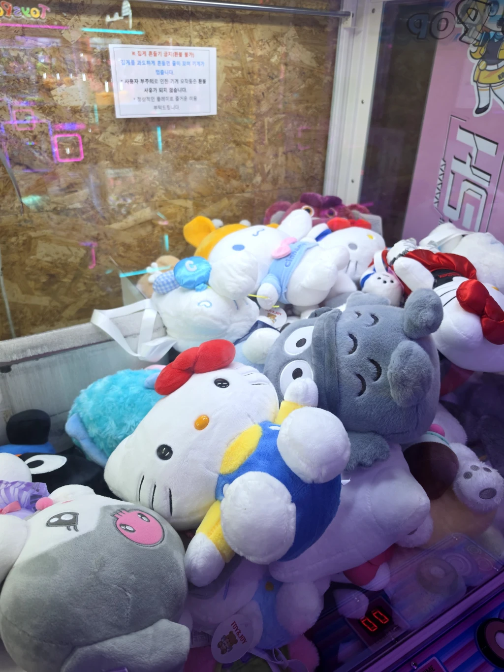 짱 오락실 사용자 등록 사진