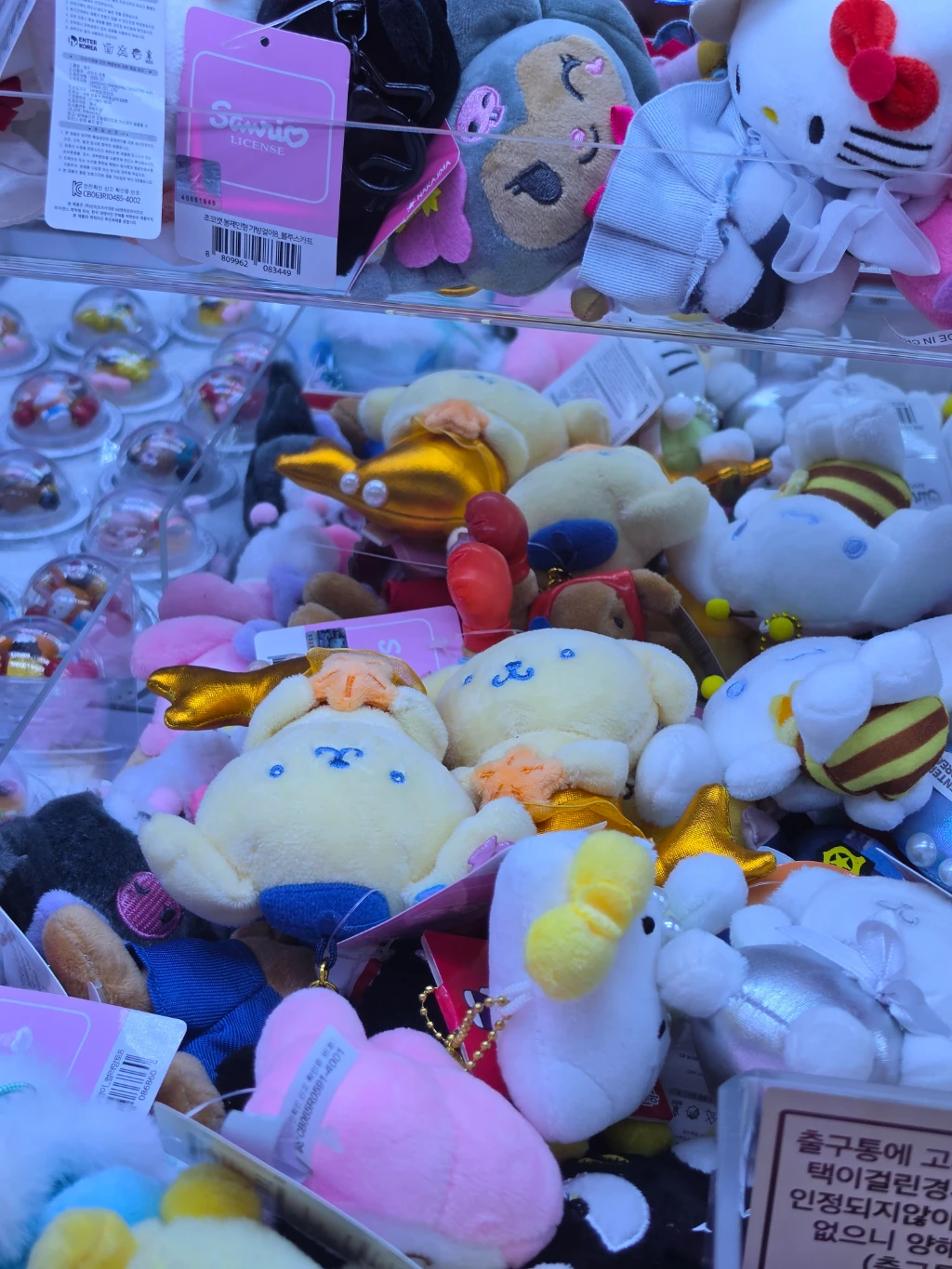 짱 오락실 사용자 등록 사진
