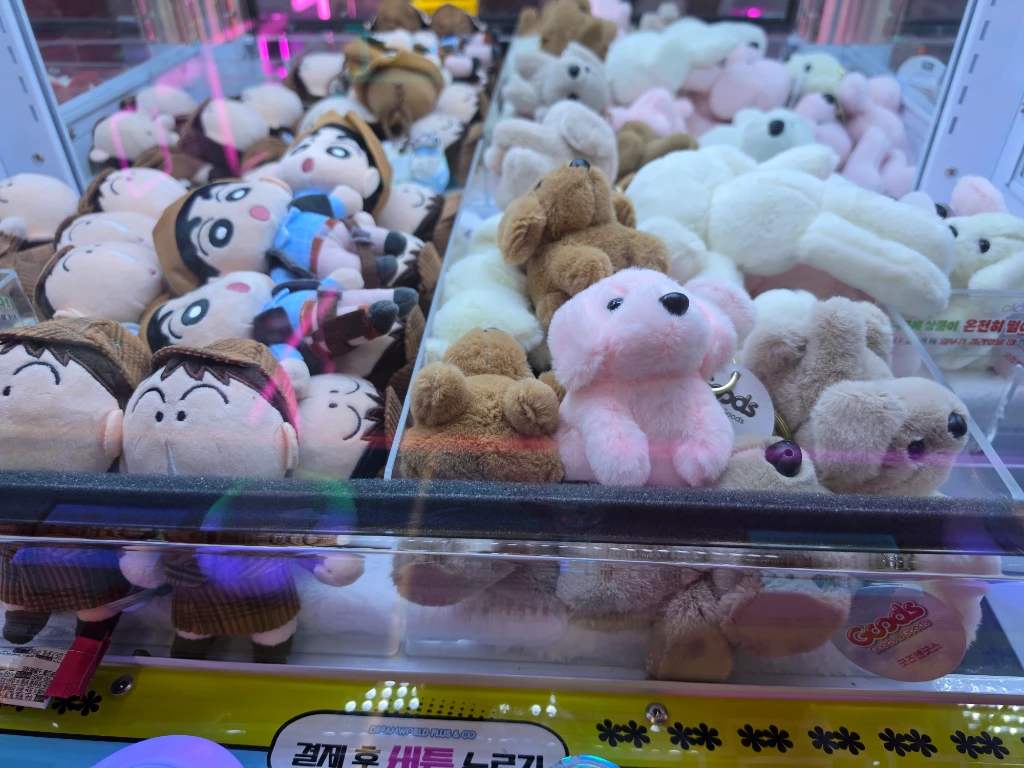 CLAW LAND 사용자 등록 사진