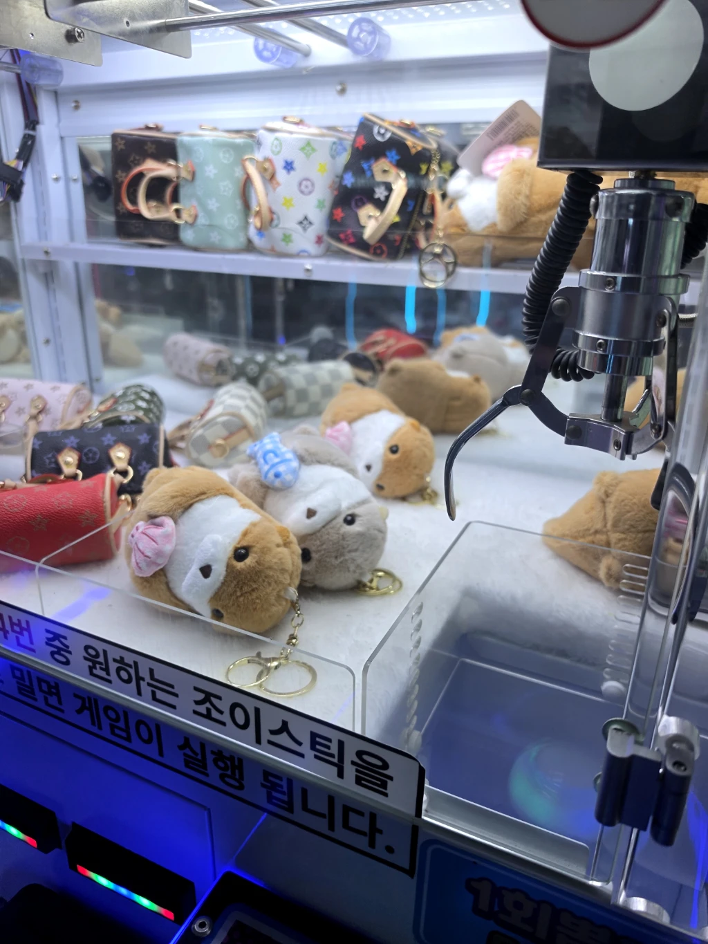 인형사랑 사용자 등록 사진