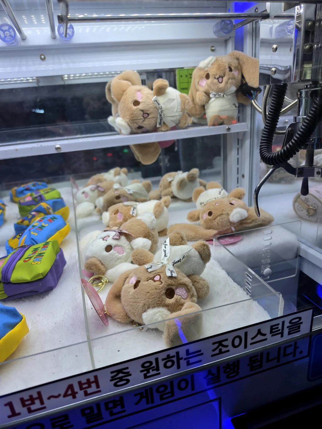 인형사랑 사용자 등록 사진