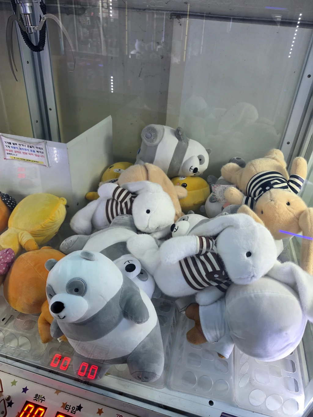 인형사랑 매장 사진