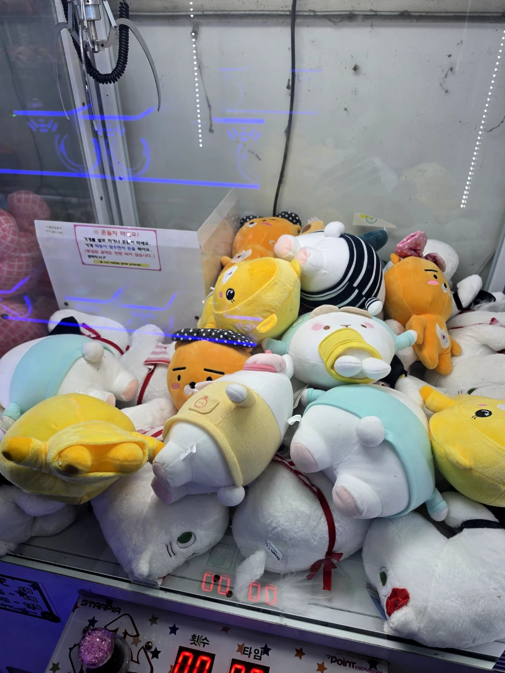 인형사랑 매장 사진