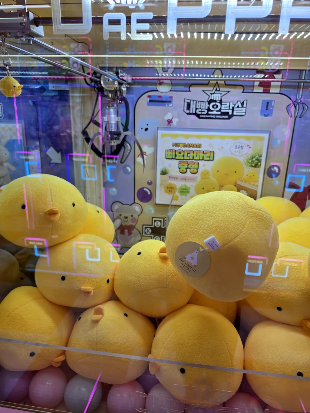 대빵인형뽑기 매장 사진