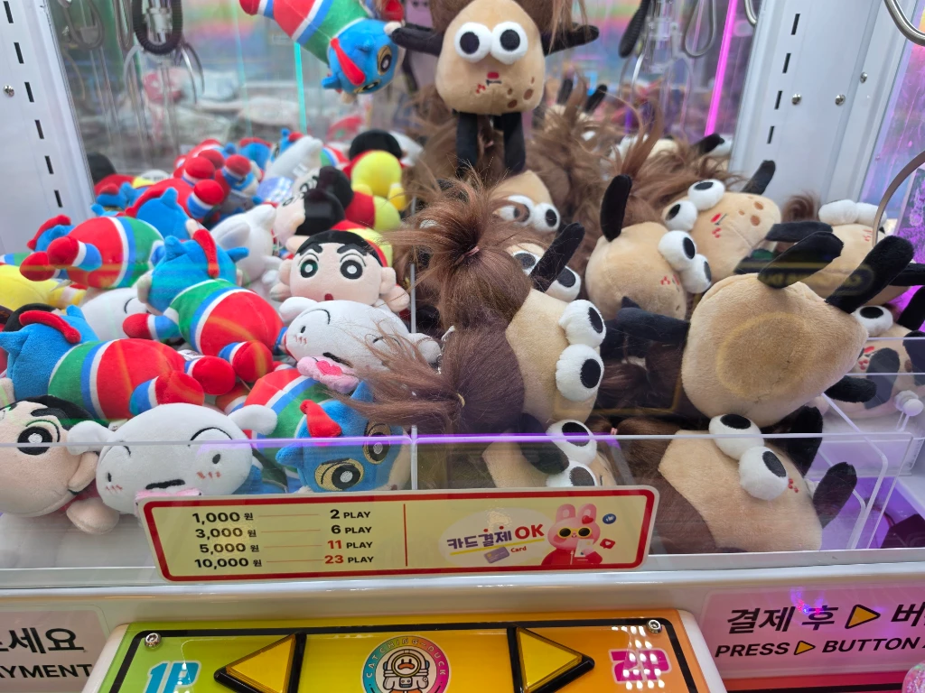 왕오락실 사용자 등록 사진