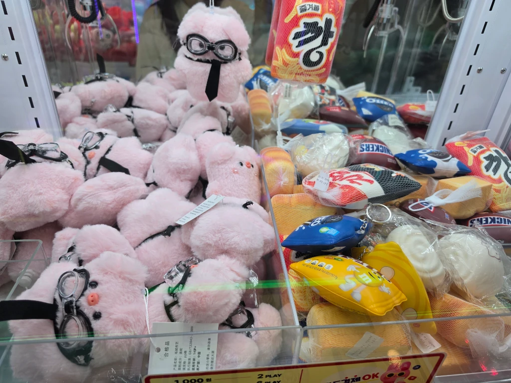 왕오락실 사용자 등록 사진