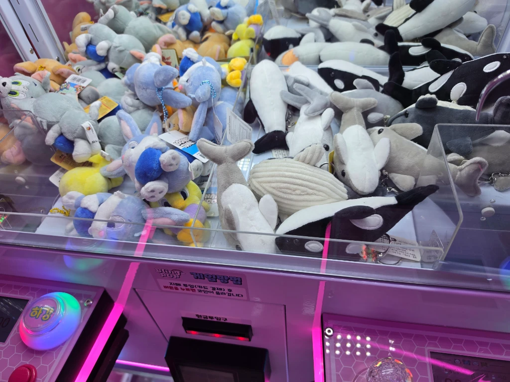 블링팝 청주동남점 매장 사진