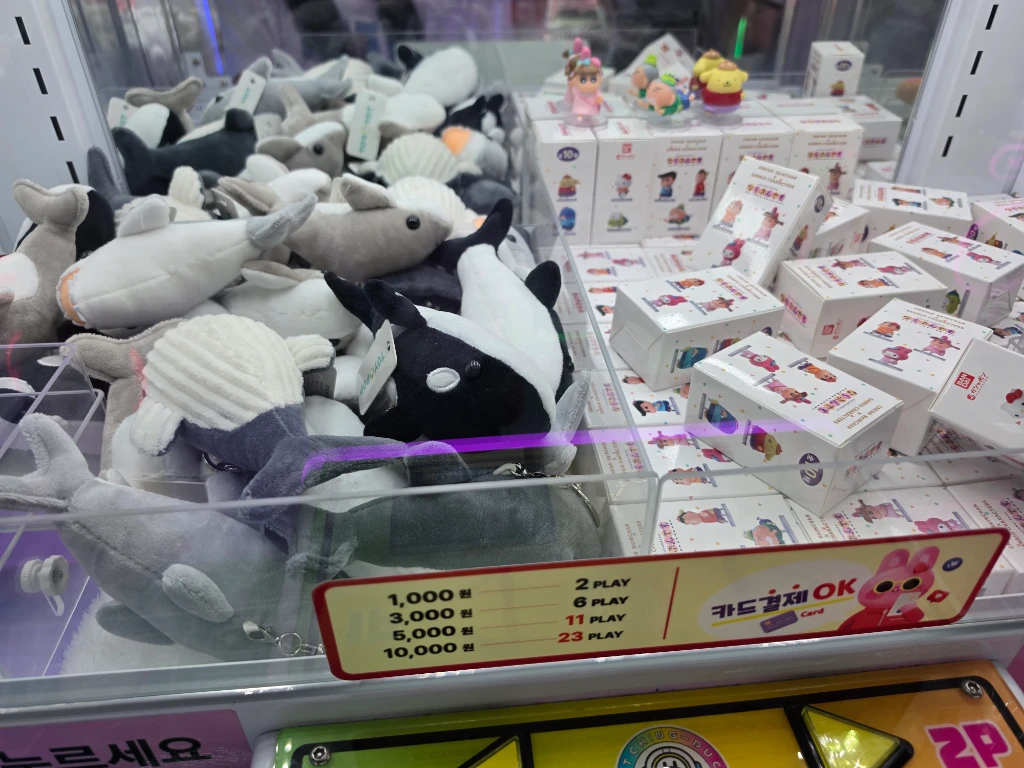 왕오락실 사용자 등록 사진