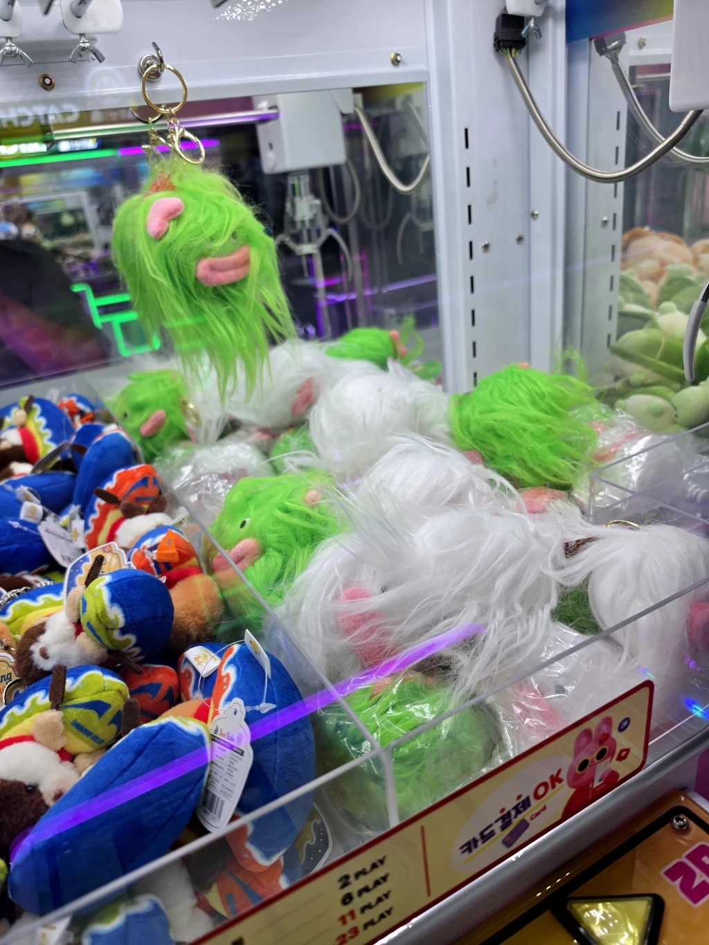 왕오락실 사용자 등록 사진
