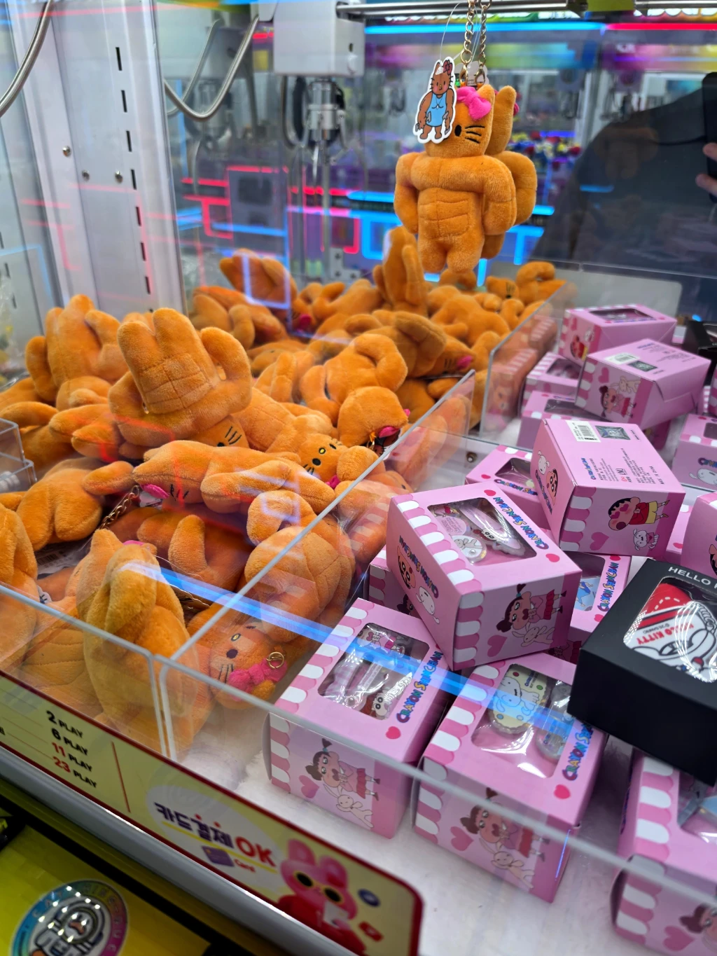 왕오락실 사용자 등록 사진