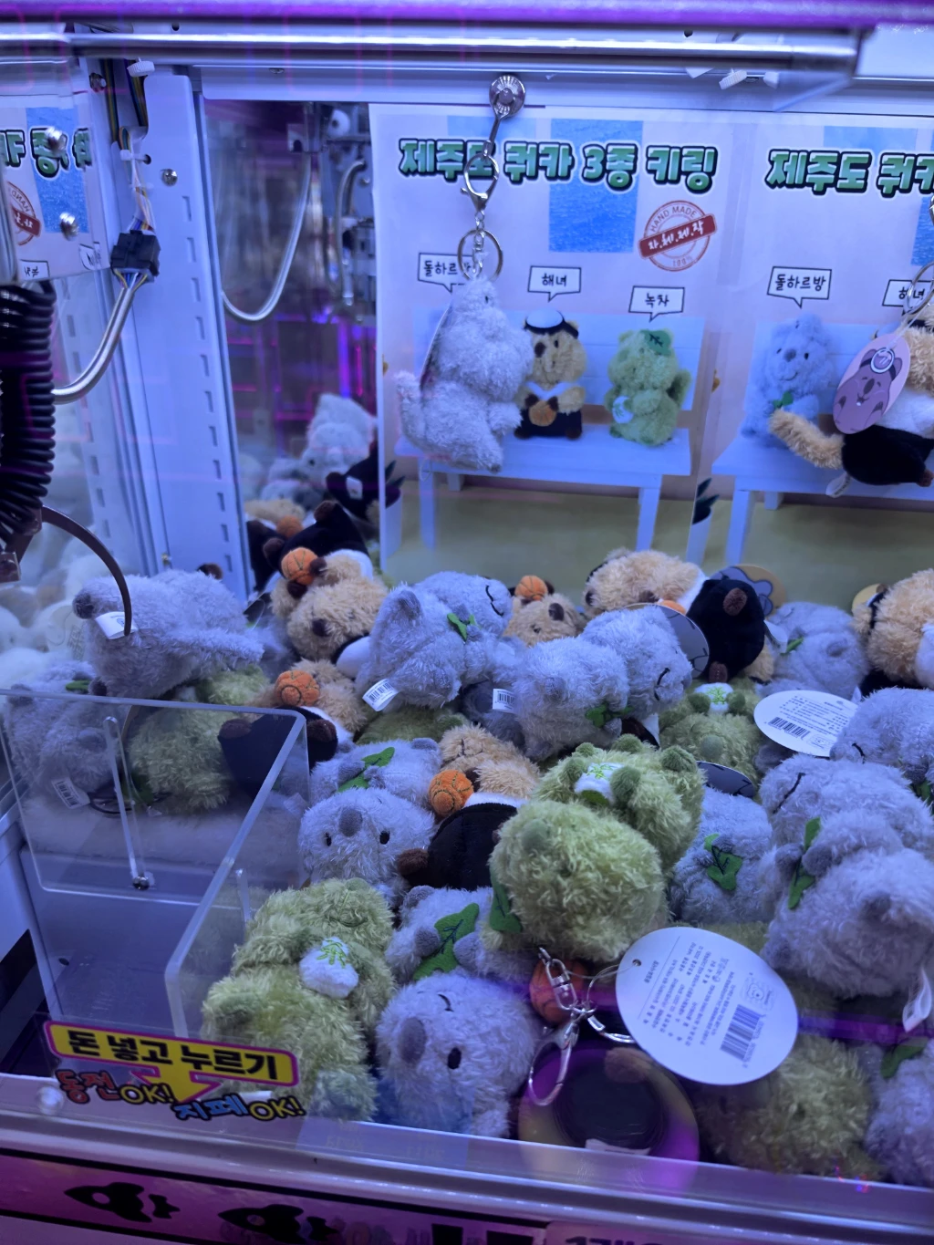 대빵오락실 매장 사진