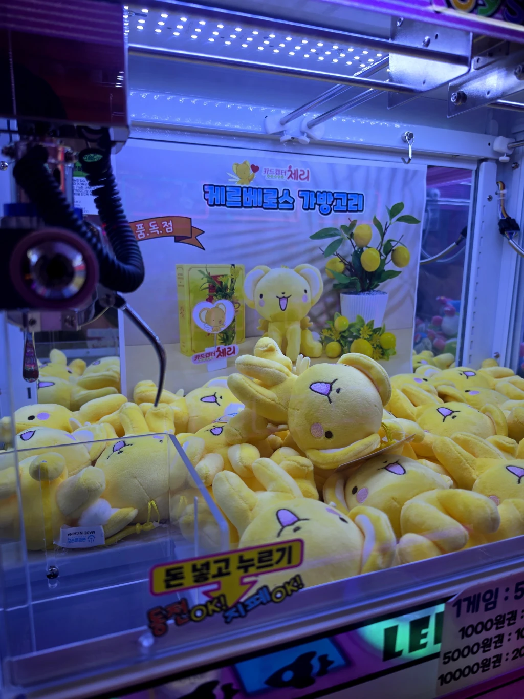 대빵오락실 매장 사진