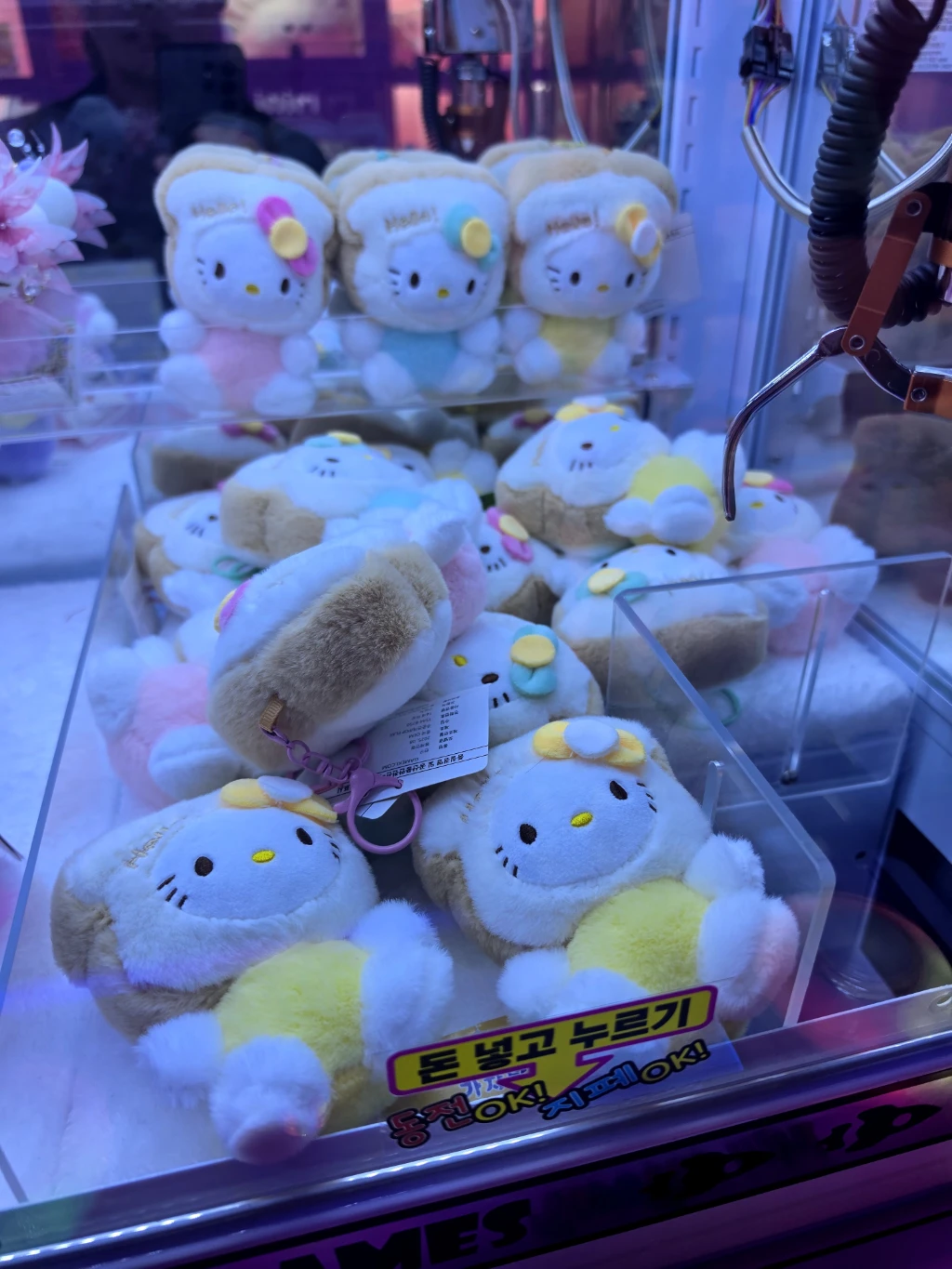 코코 불당점 매장 사진