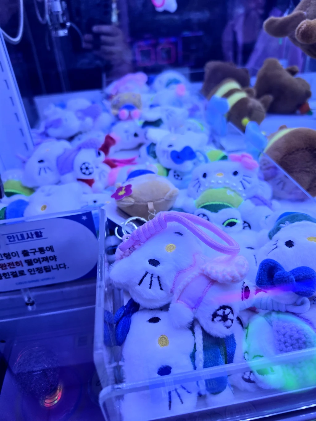코코 불당점 매장 사진
