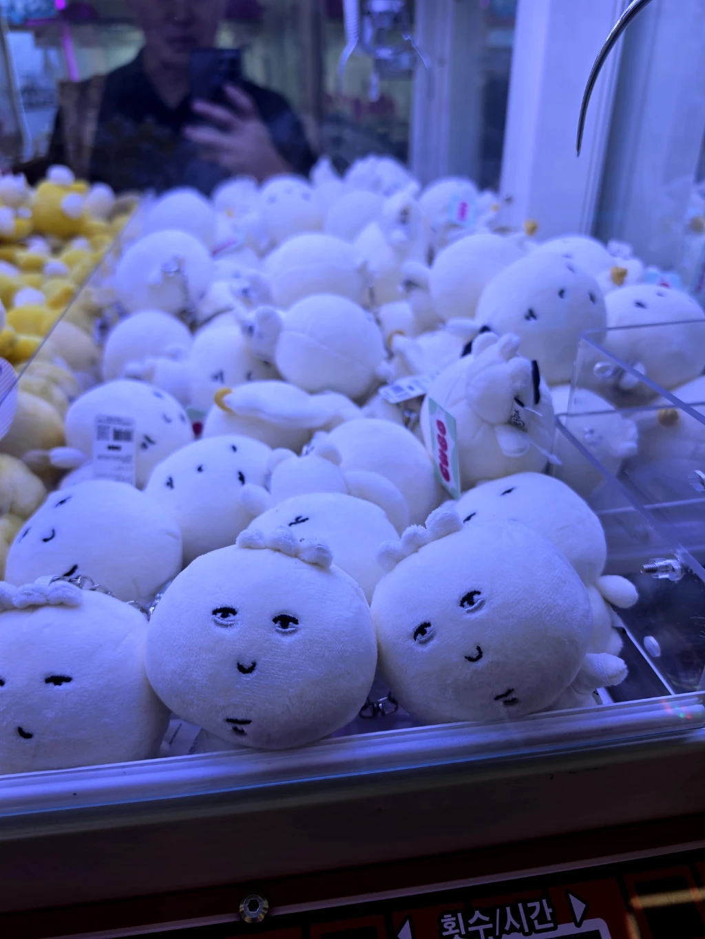 쿠보 신불당점 매장 사진