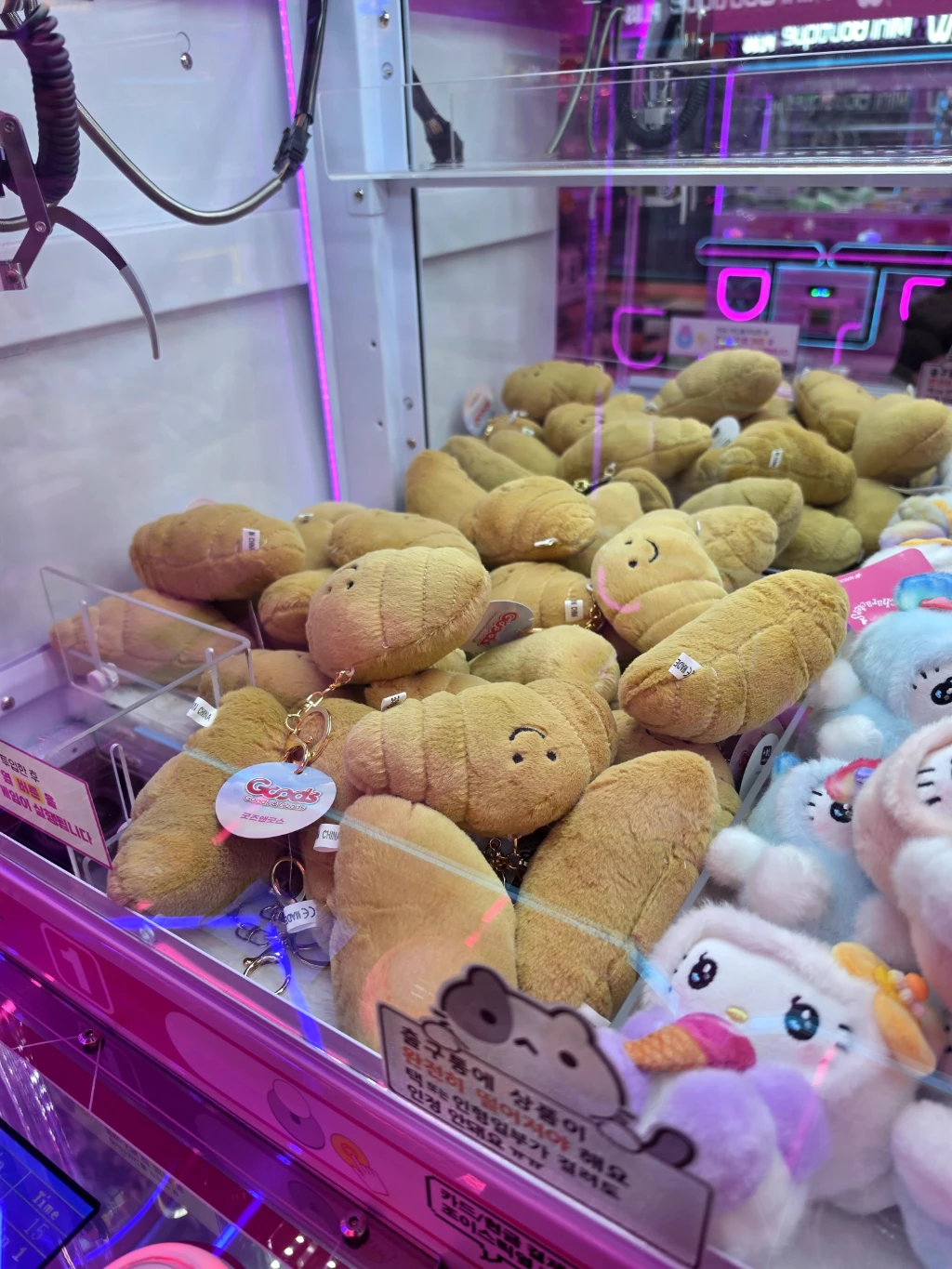 캐치팡팡 매장 사진