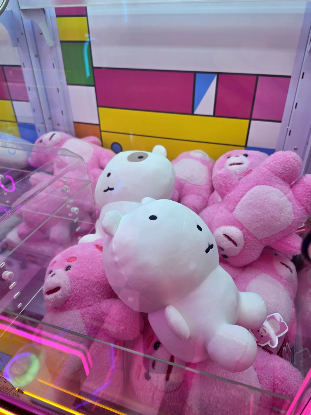캐치팡팡 매장 사진