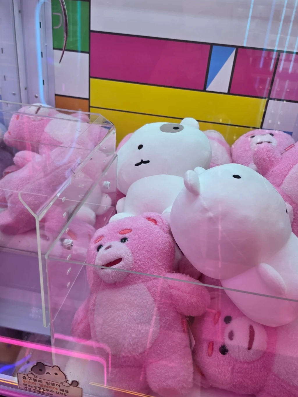 캐치팡팡 매장 사진