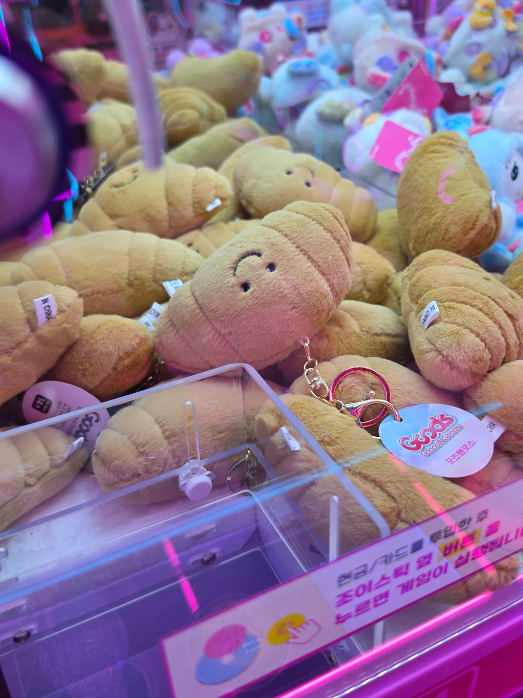 캐치팡팡 방문 후기 사진