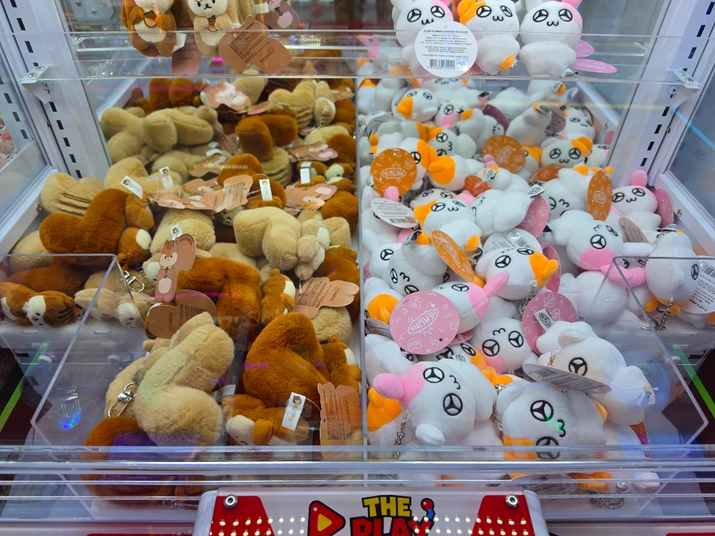 더 플레이 전민점 매장 사진