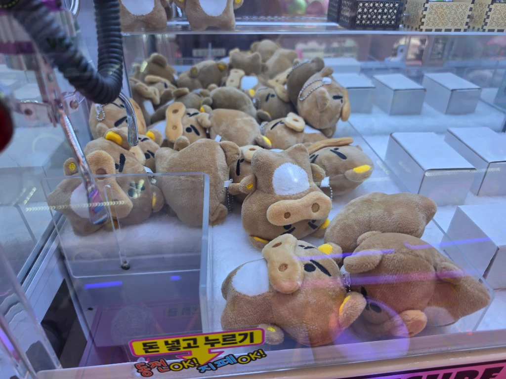 파퓰러 매장 사진