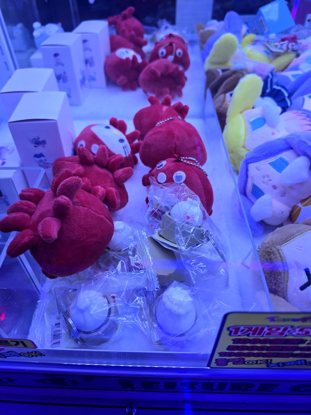 뽑아핑 대전중앙로점 매장 사진