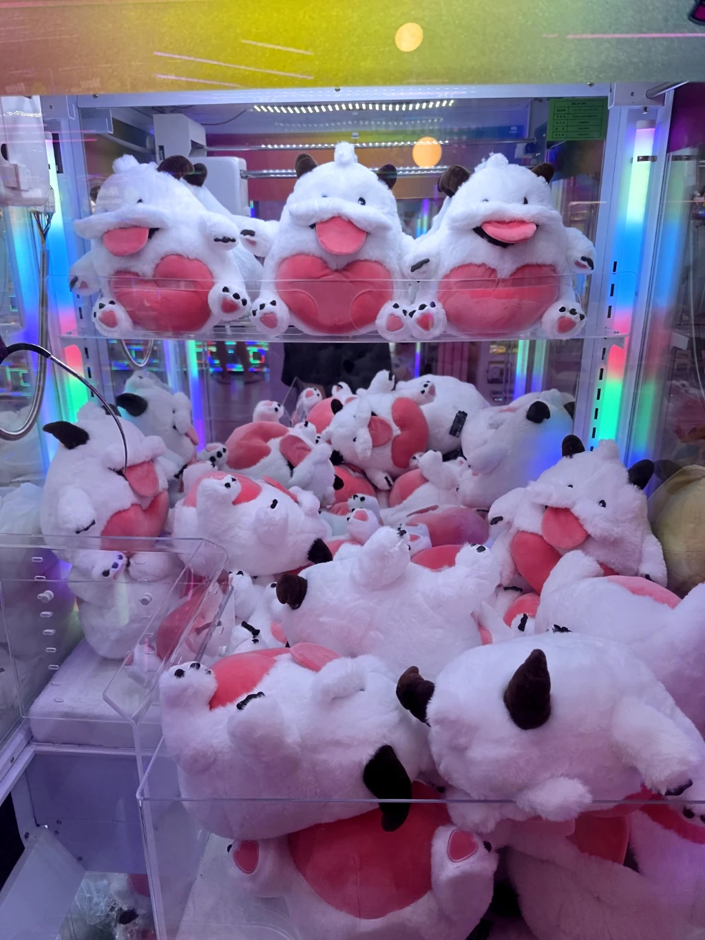 헬로지니 매장 사진