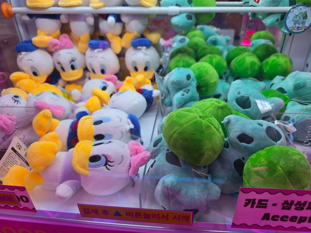찌꼬뽀꼬 대전점 매장 사진