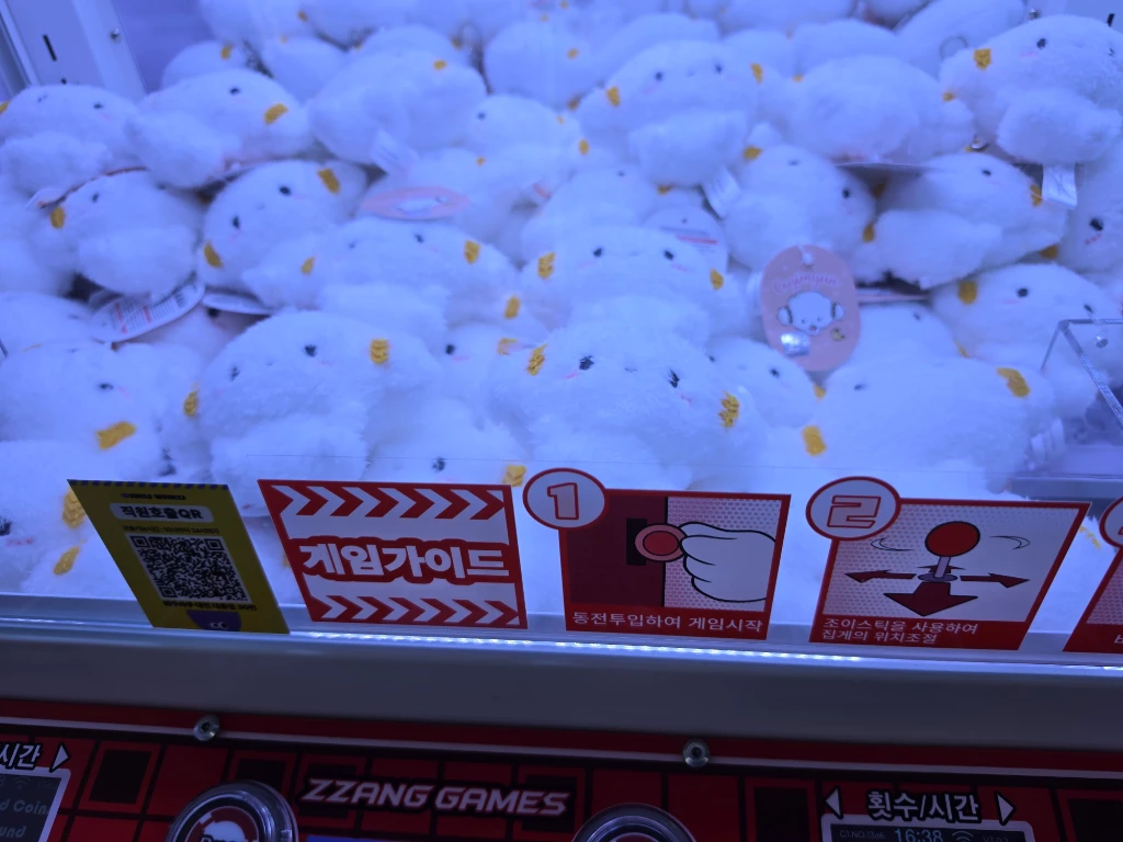 와쿠와쿠 대전 대흥점 매장 사진