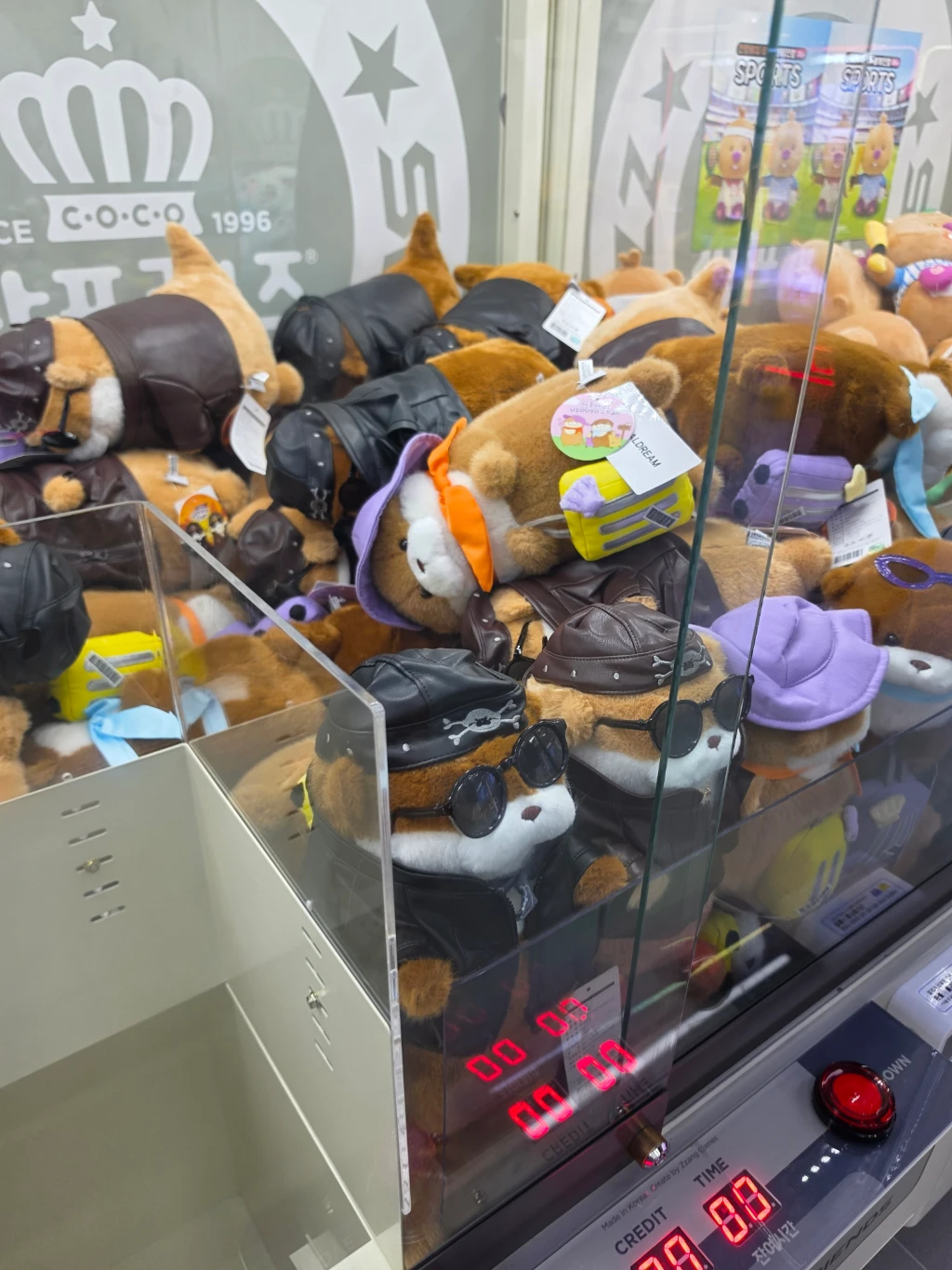 와쿠와쿠 대전 대흥점 매장 사진