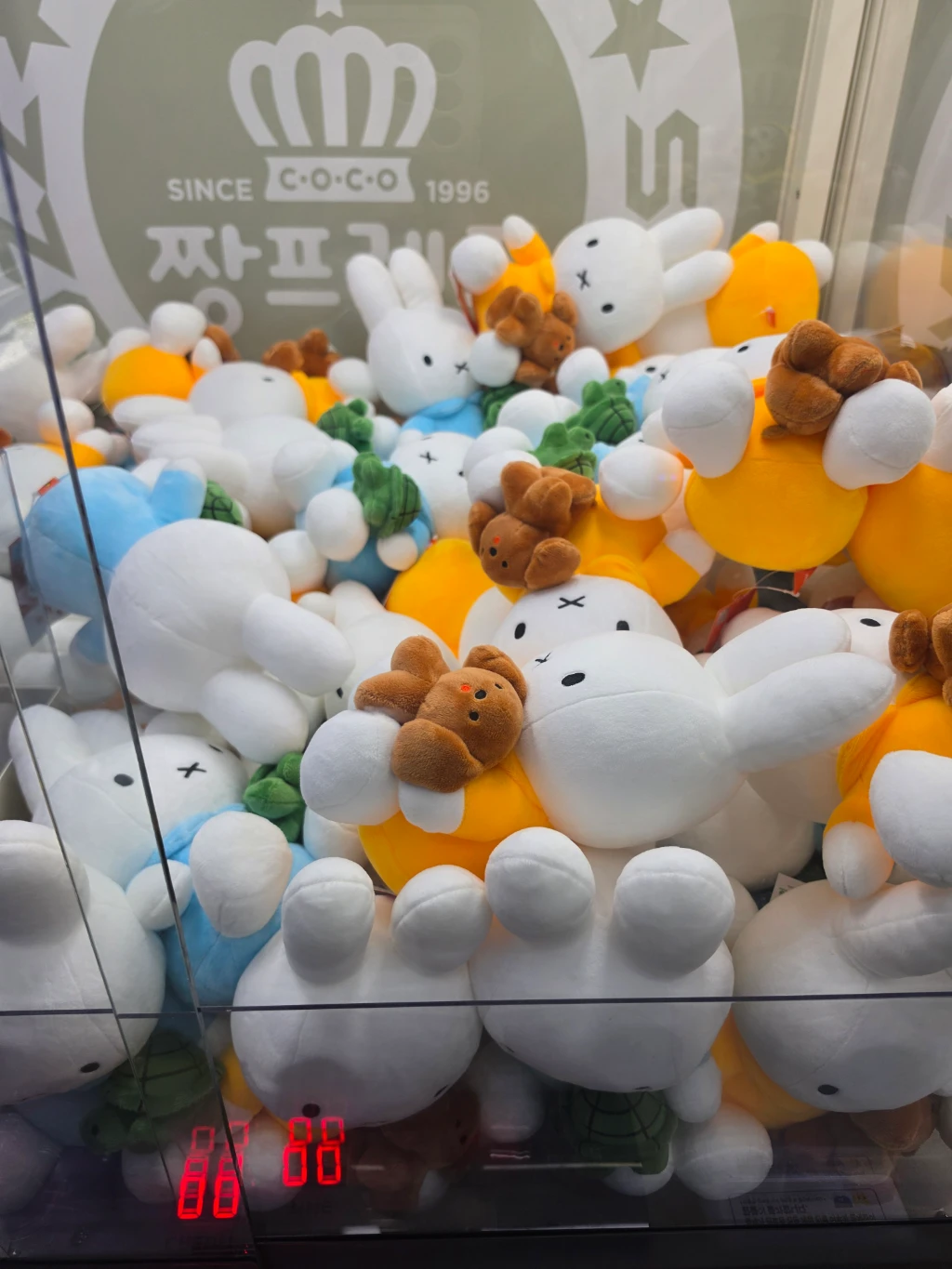와쿠와쿠 대전 대흥점 매장 사진