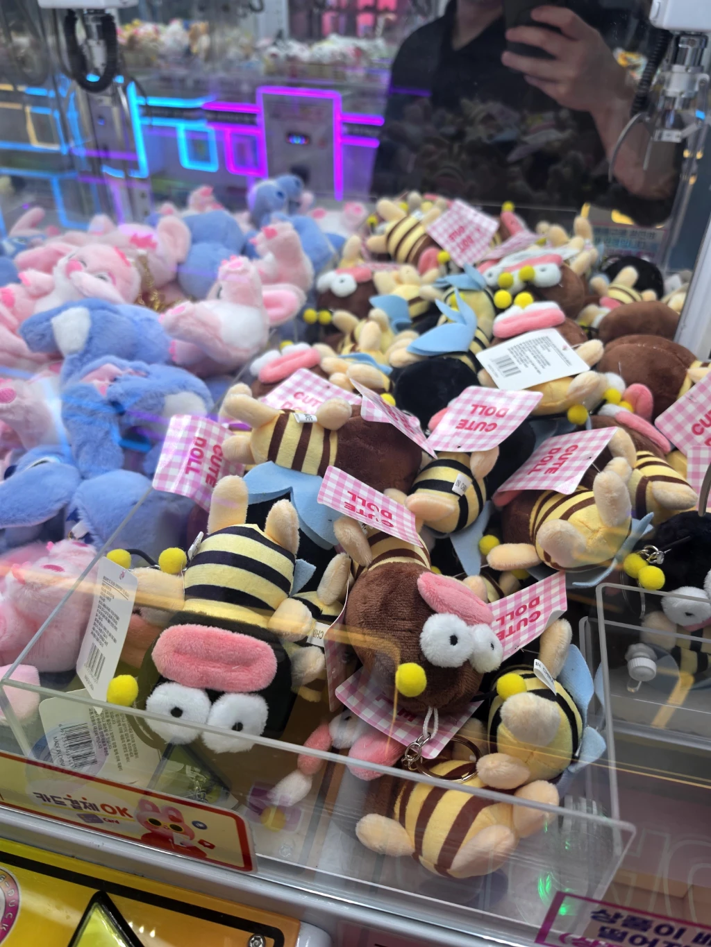 코코랜드 매장 사진