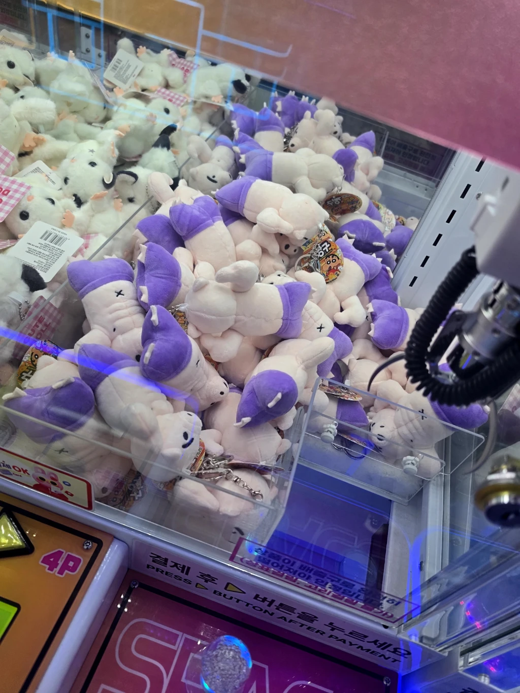 코코랜드 매장 사진