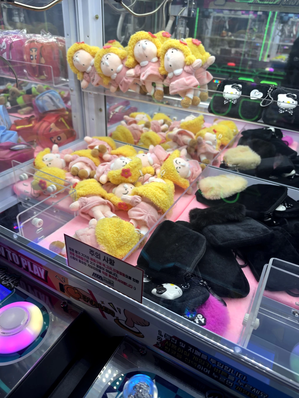 헌터독 매장 사진