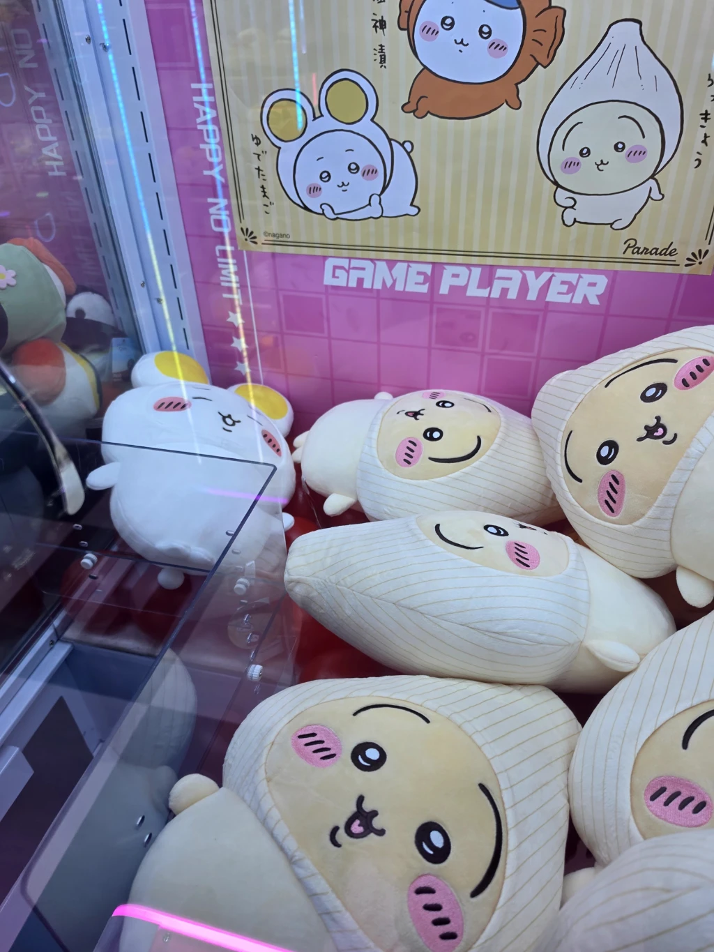 원더랜드 둔산점 매장 사진
