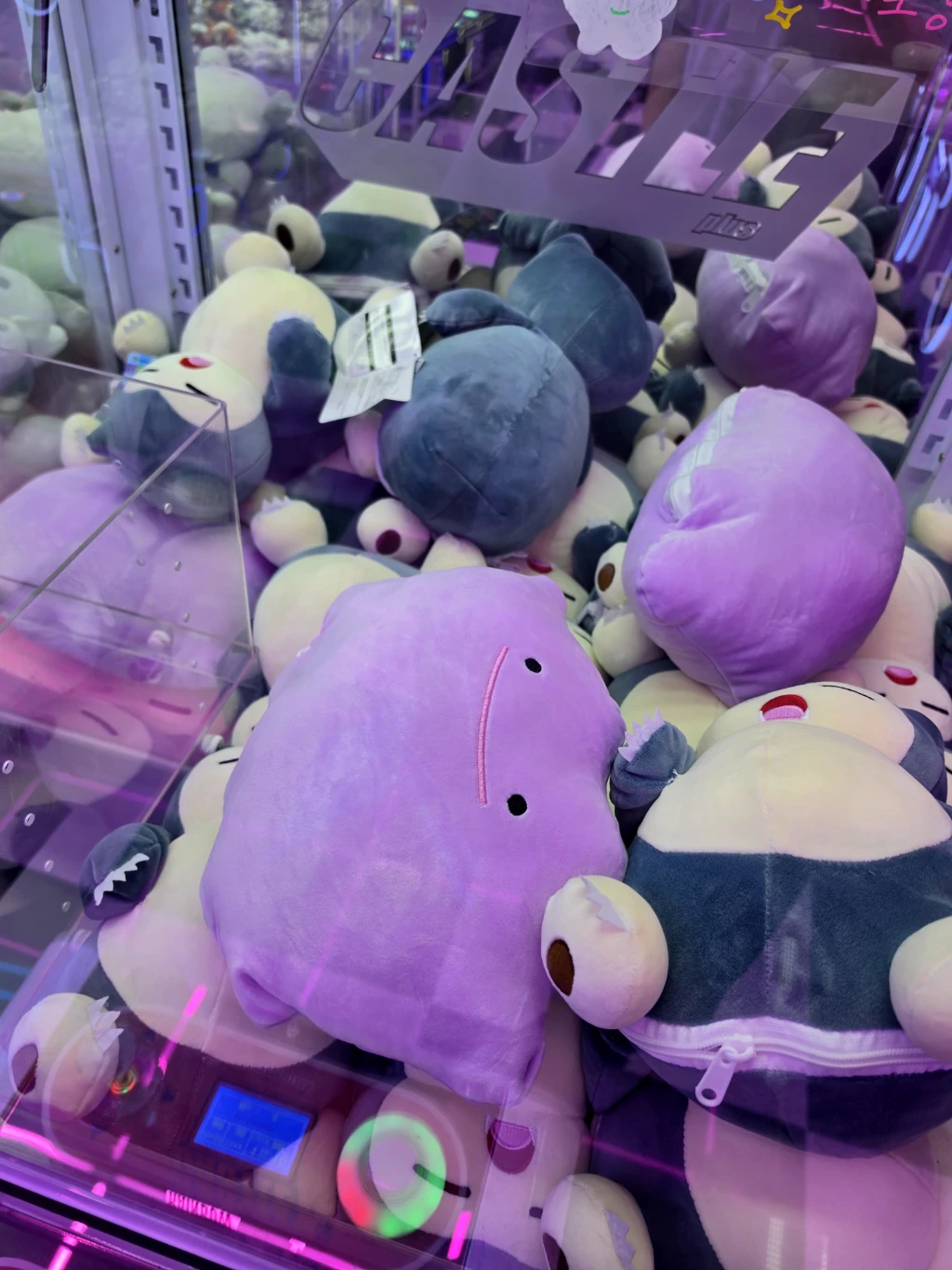파티돌 매장 사진