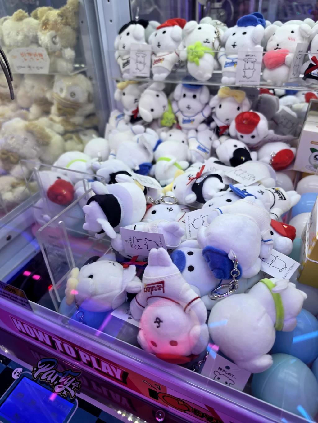 파티돌 매장 사진