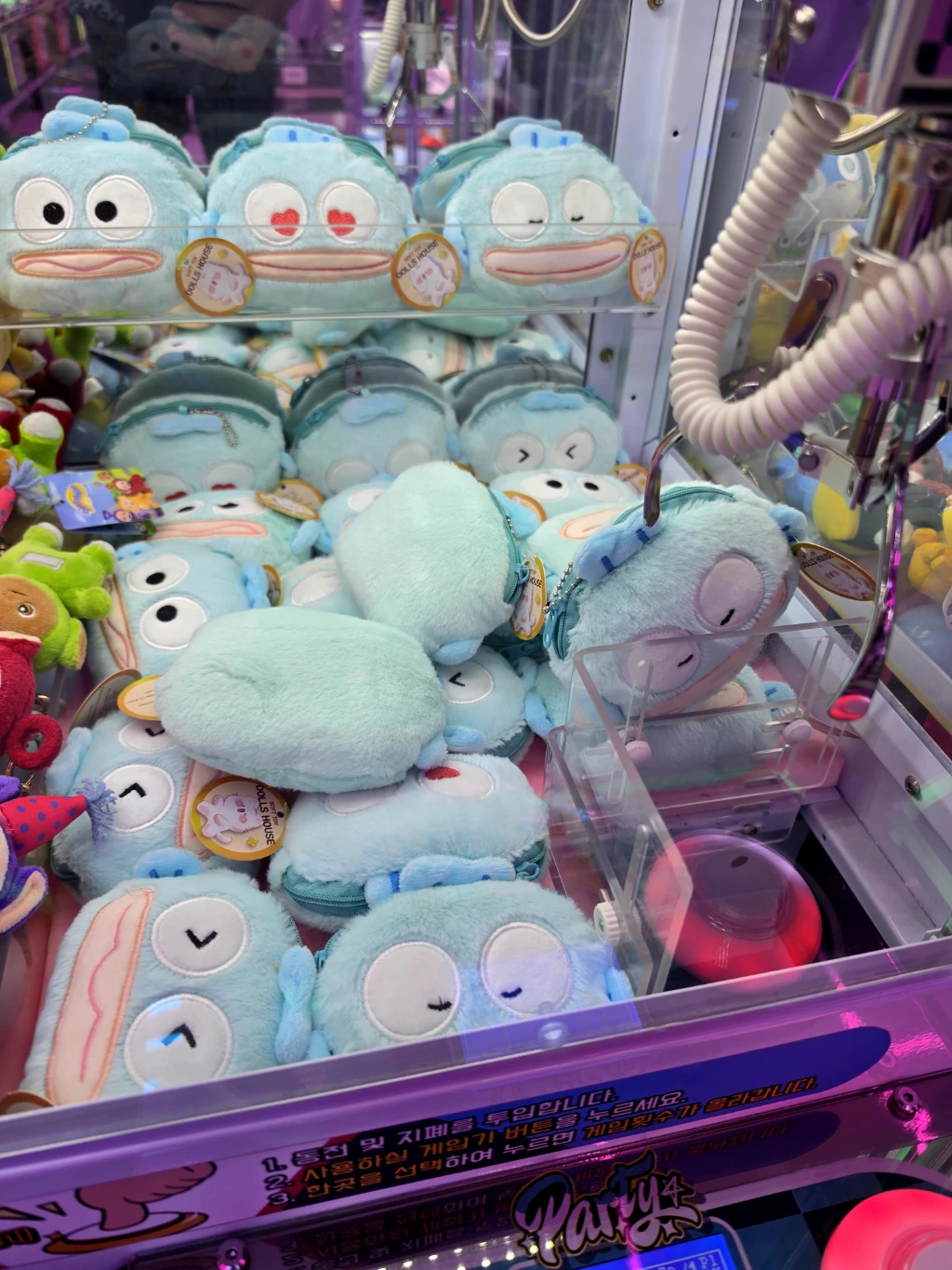 파티돌 매장 사진