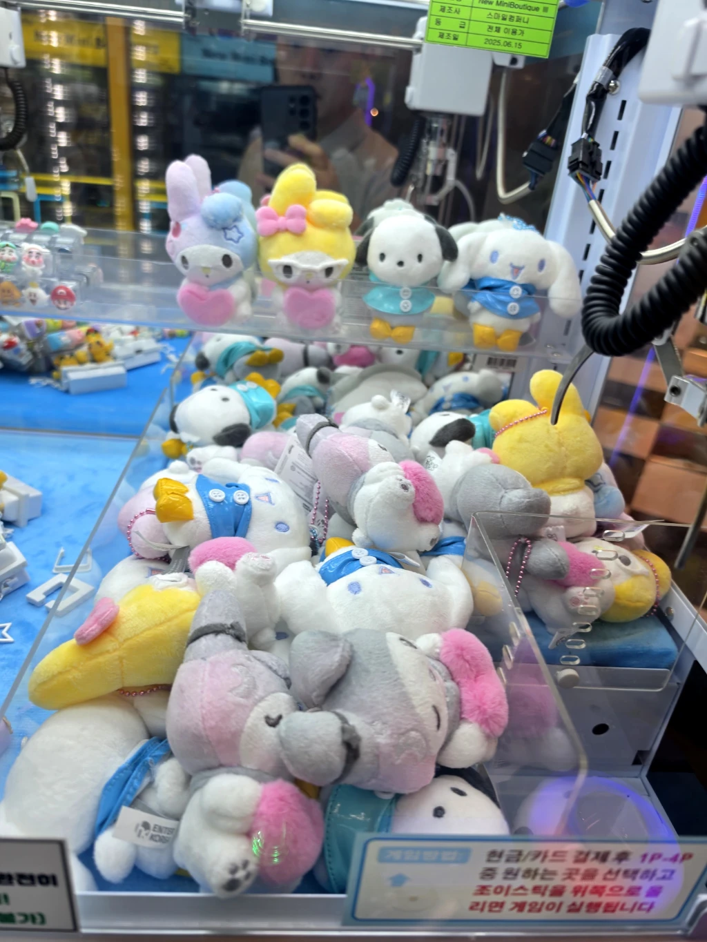 더쿠더쿠 매장 사진
