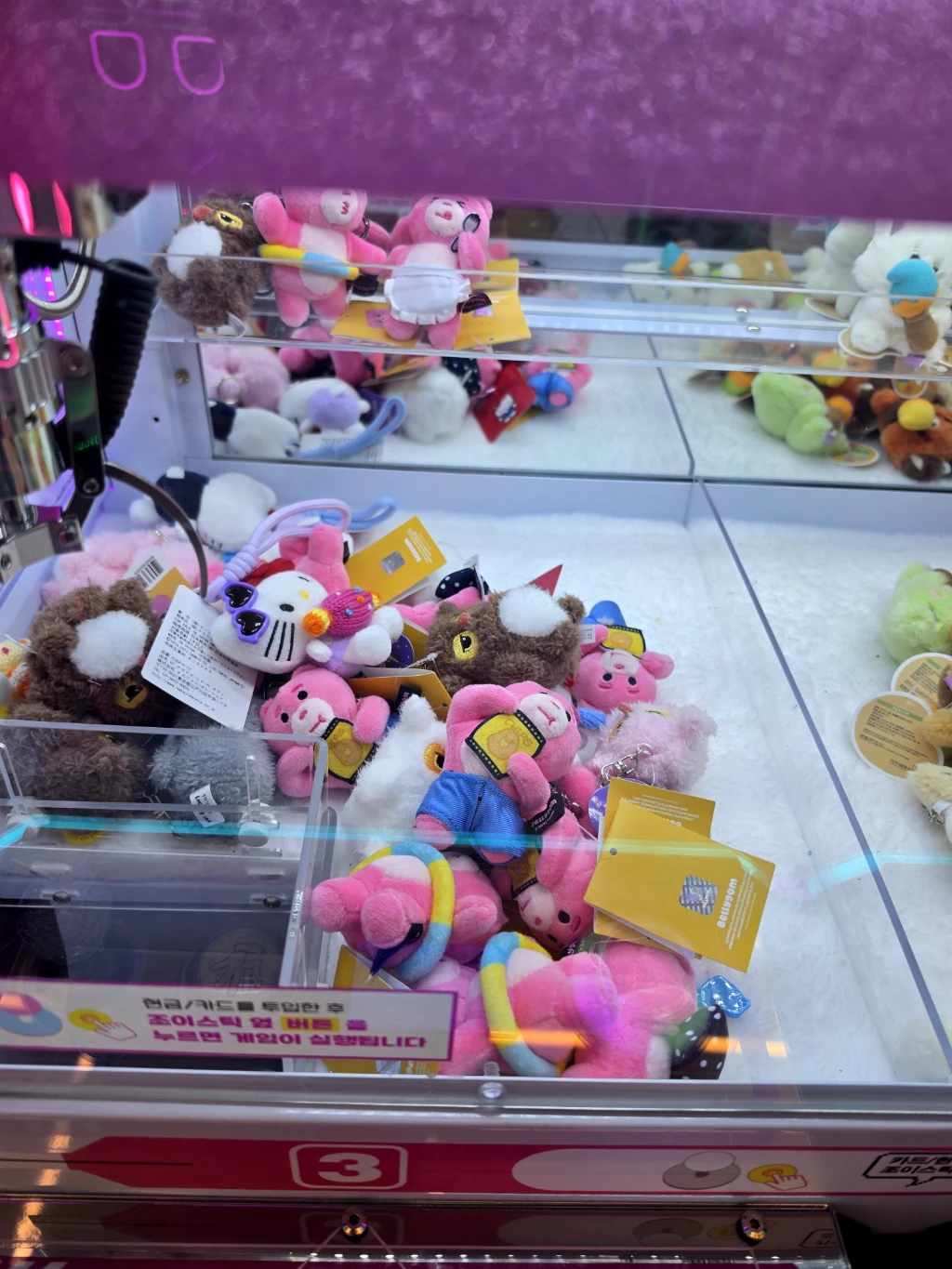 더쿠더쿠 매장 사진