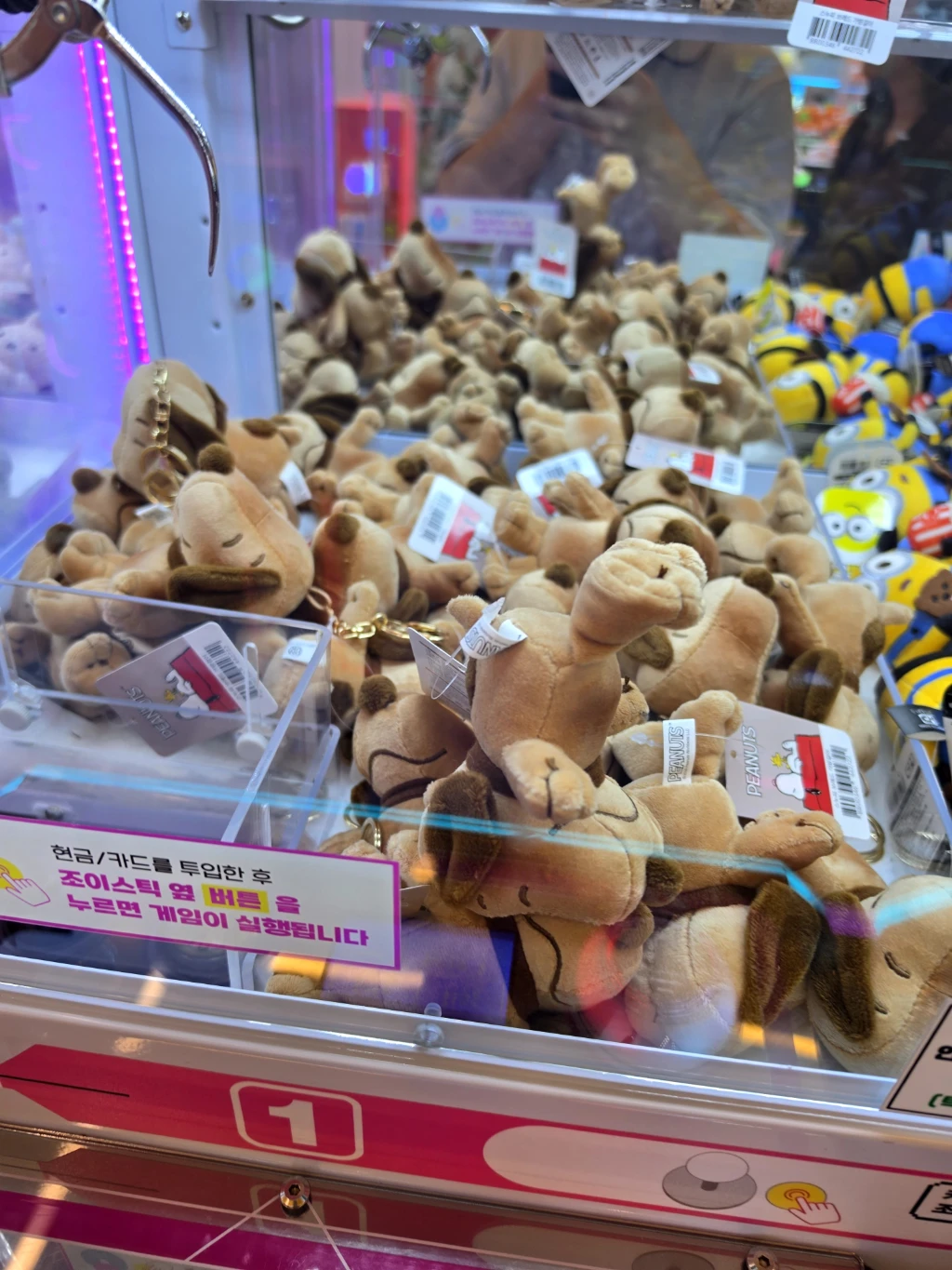 더쿠더쿠 매장 사진